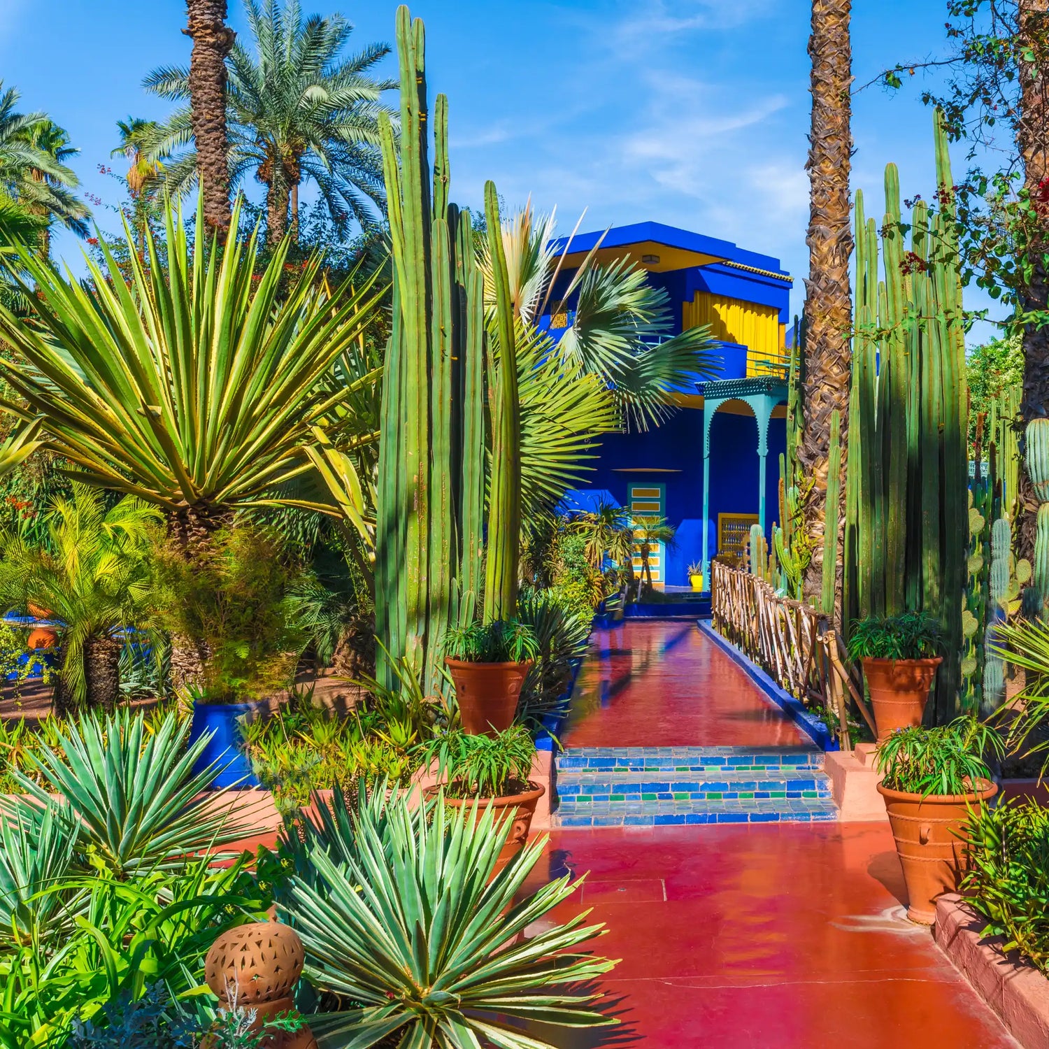 Vibrant blue and yellow building in a lush garden.